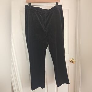 Express Black Velvet Pants Size 14R